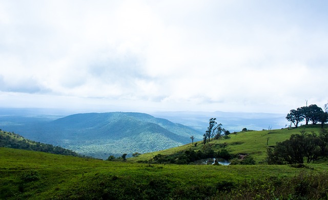 德甲战报：凯恩替补登场戴帽，拜仁5-0狂胜十人斯图加特