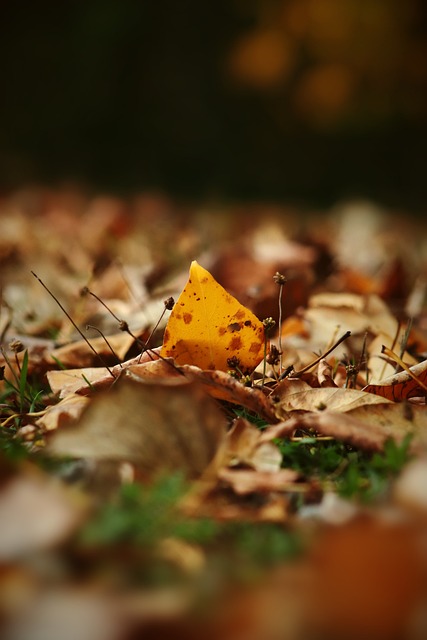 对杜达已4连胜！林昀儒两局落后5分均完成逆转 男单八强第一席出炉